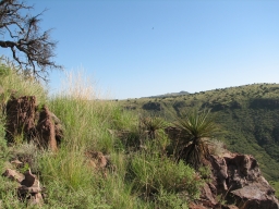 vista at state park.JPG